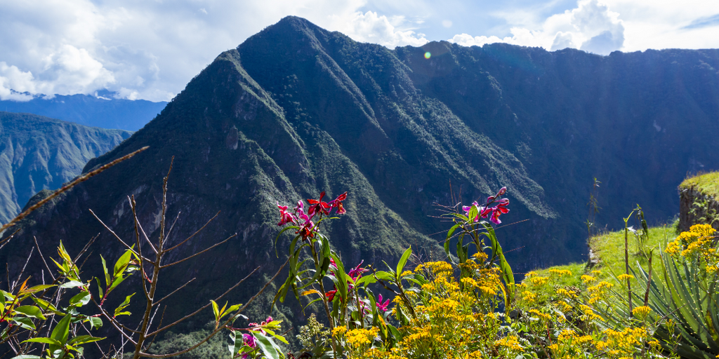 Colors of the Andes
