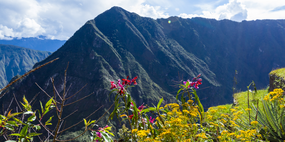 Colors of the Andes
